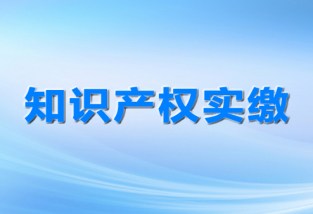知識產(chǎn)權(quán)質(zhì)押融資，知識產(chǎn)權(quán)質(zhì)押融資風(fēng)險(xiǎn)補(bǔ)償機(jī)制