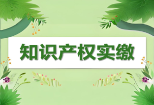 知識產(chǎn)權(quán)如何入股？詳解知識產(chǎn)權(quán)實(shí)繳操作流程